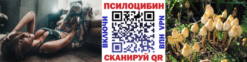 где найти наркотики  Отрадная  Галлюциногенные грибы Magic Shrooms 